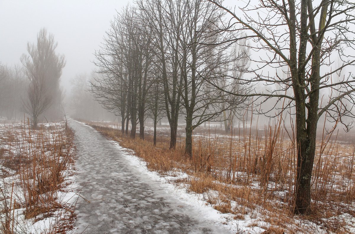 Январь...Дорожка уходящая в туман... - Александр Фролов 