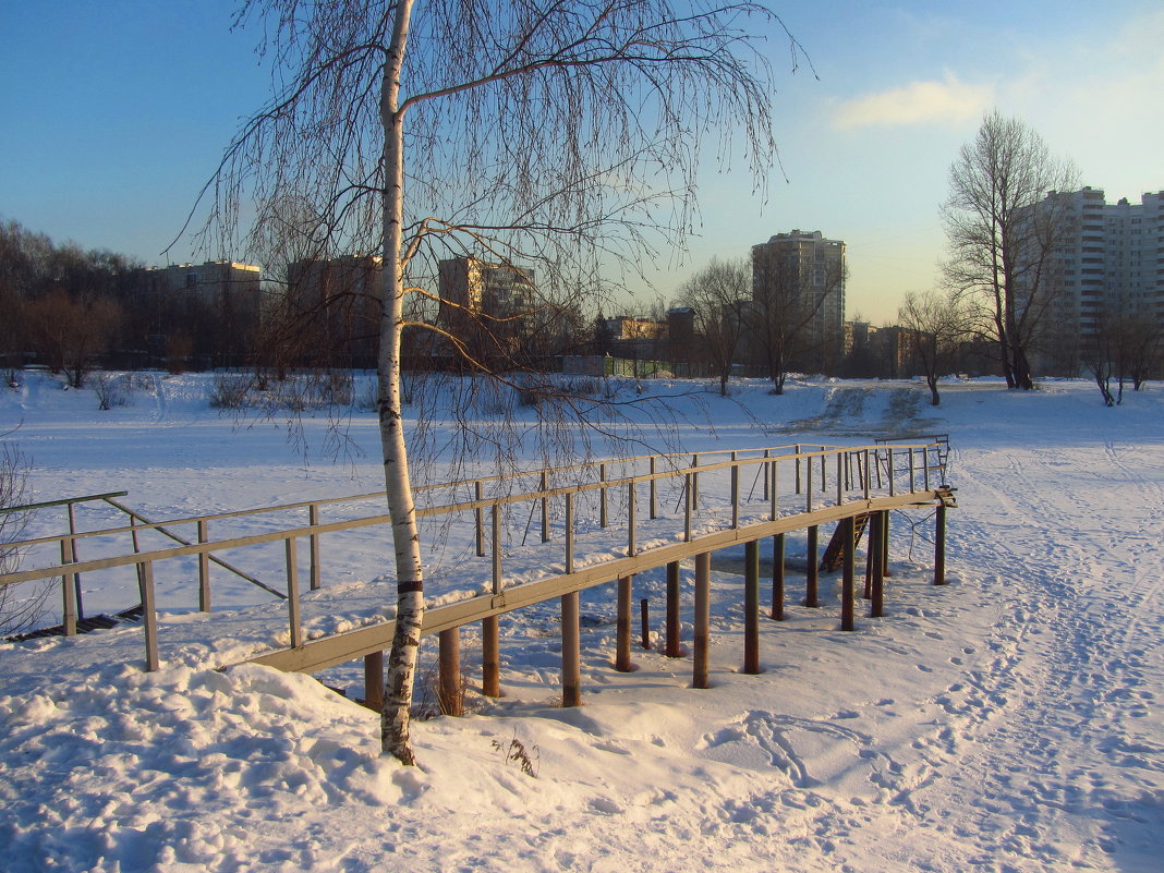 Однажды в студеную зимнюю пору - Андрей Лукьянов