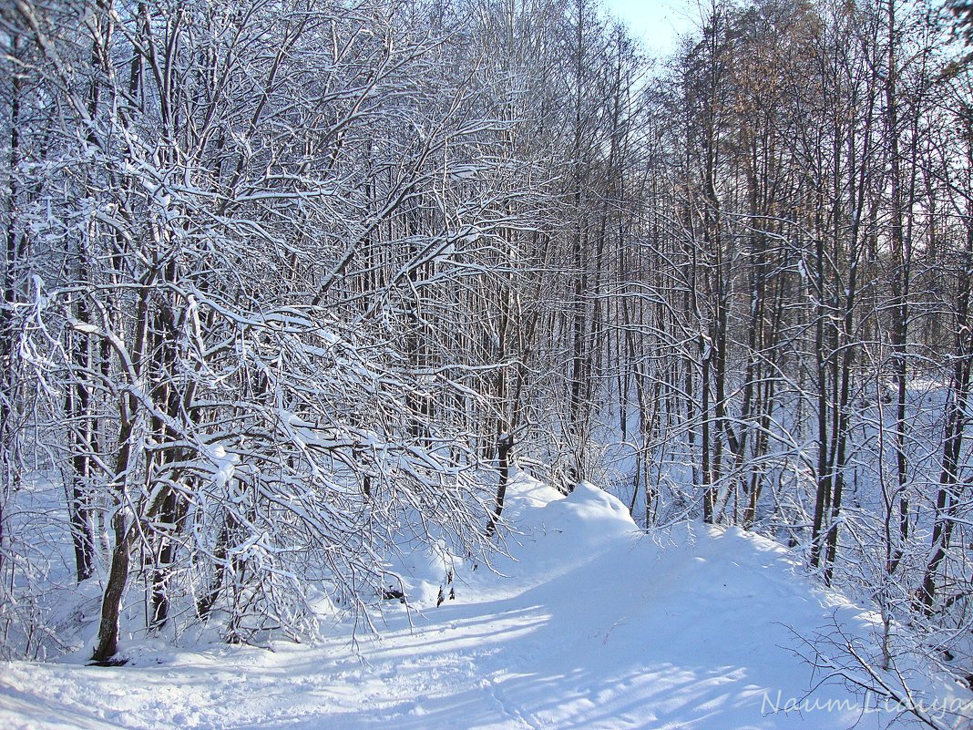 Зима в моем городе - Лидия (naum.lidiya)
