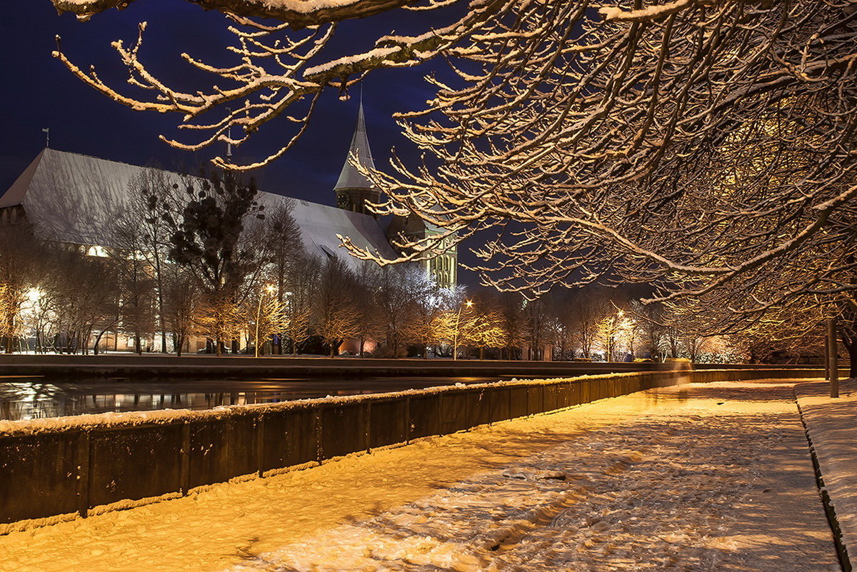 Кафедральный собор Калининград зимой вечер