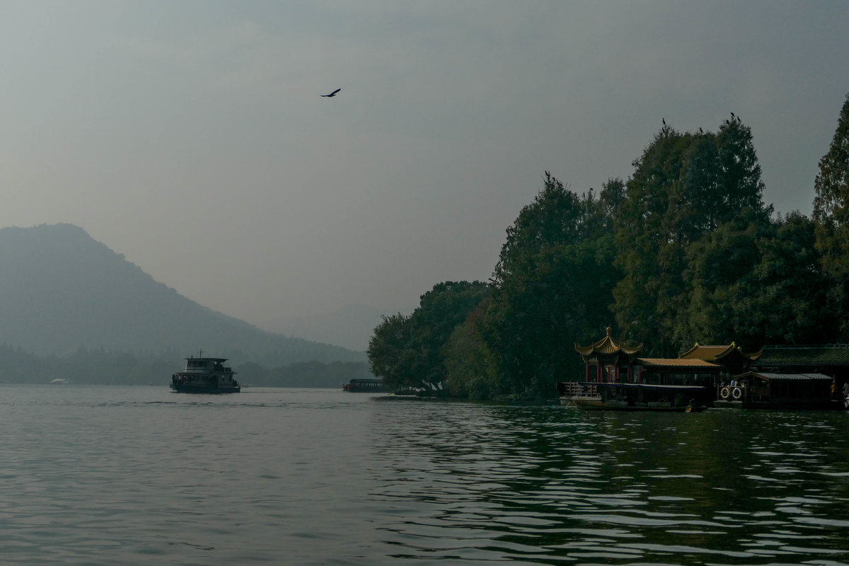 Орёл над оз.Сиху (West Lake), близ г.Гуанчжоу, Китай - Юрий Поляков