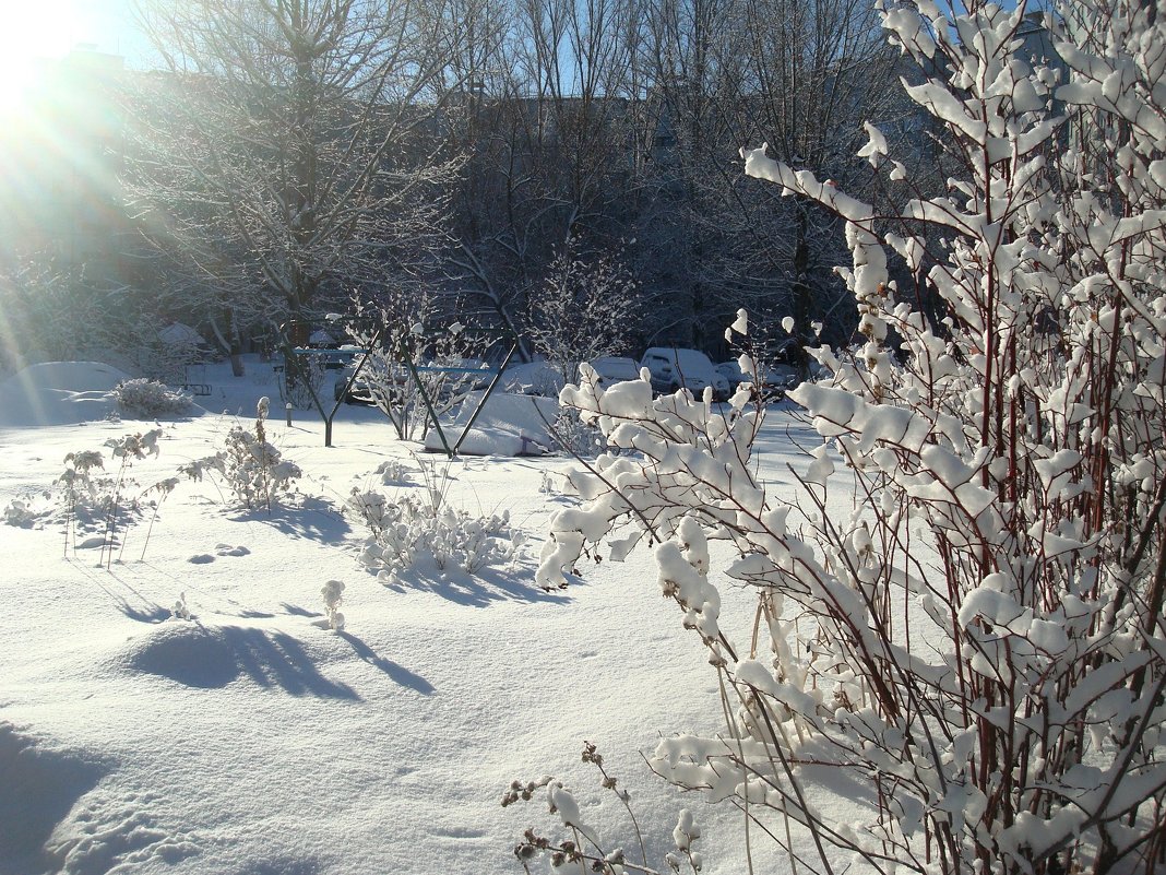 Зимний декор под лучами солнца - Стас Борискин (STArSphoto)