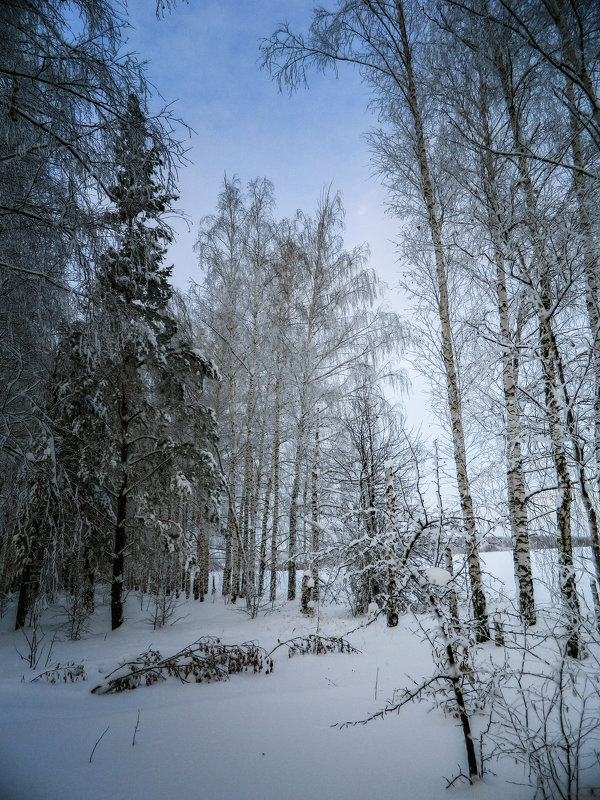 ... - Василий Гаинский