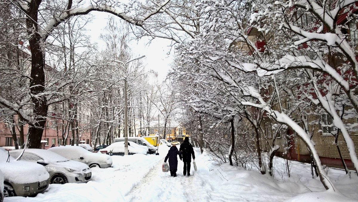 Cнежной зимой - Елена Семигина