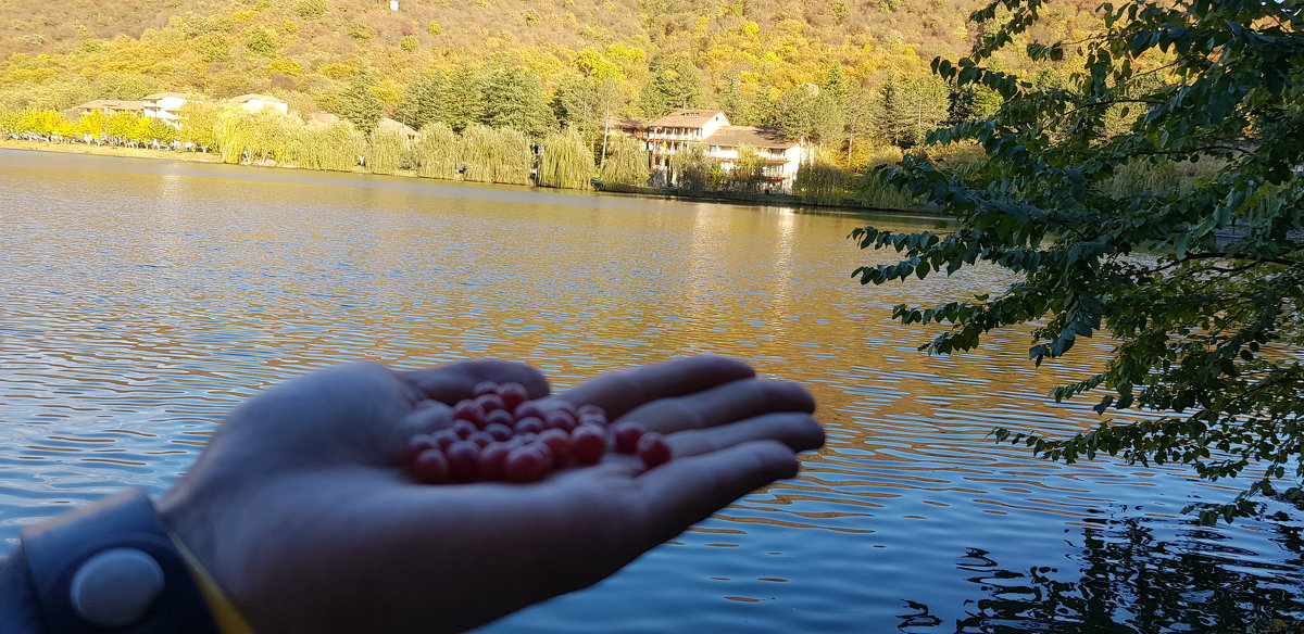 на озере Лопото - Лариса Батурова