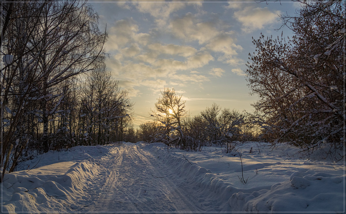 Зимний день 3 - Андрей Дворников
