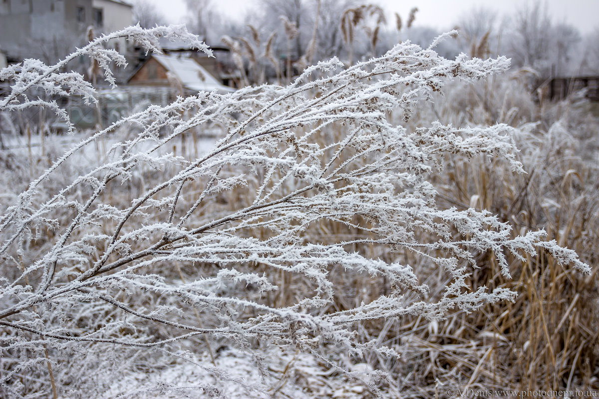 Морозным утром февраля - Denis Aksenov