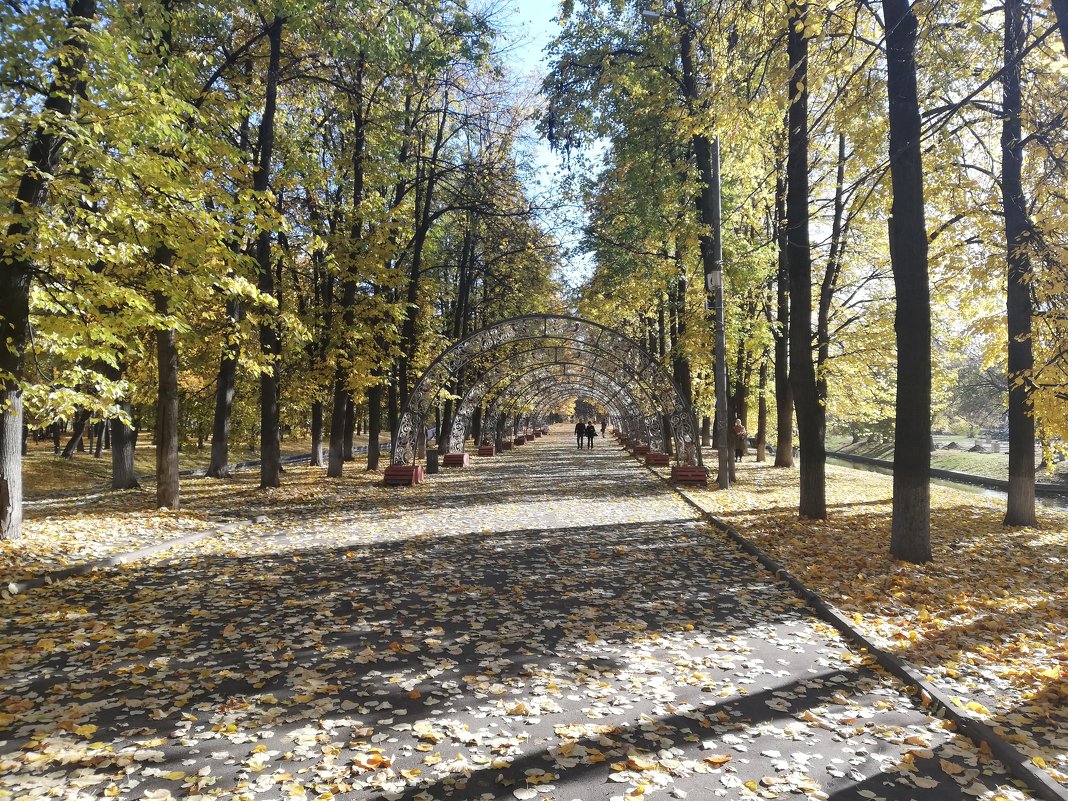 Осенний парк - Юлия 