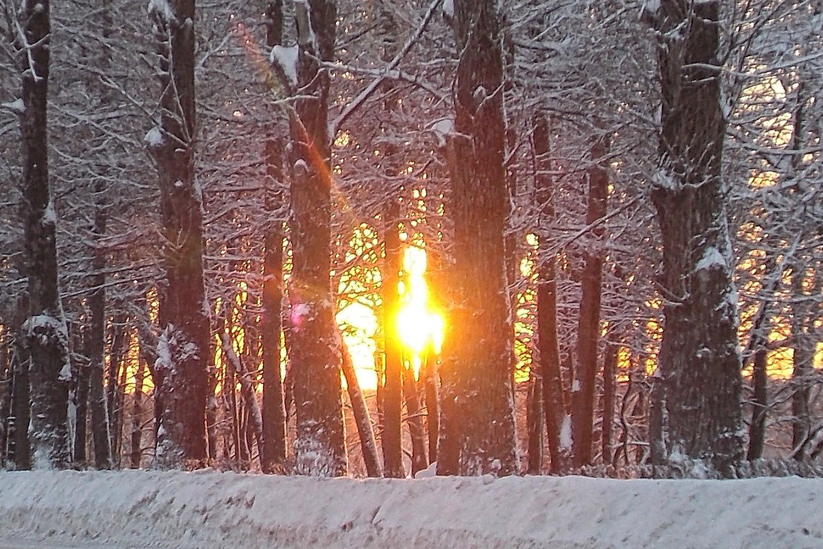 2. К Неве не подойти. но можно любоваться закатом - Фотогруппа Весна