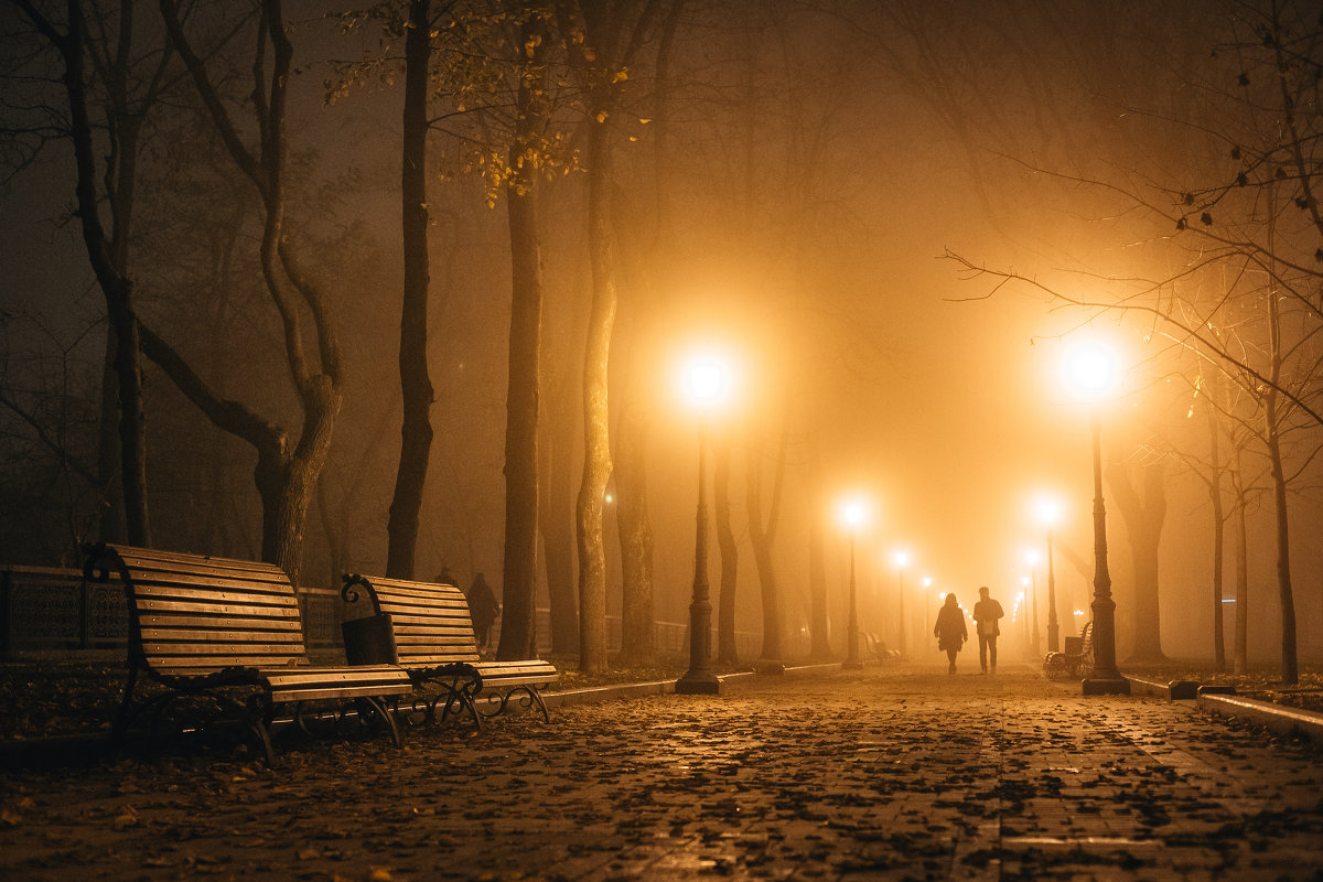 Туманный вечер в киеве - Алексей Савченко