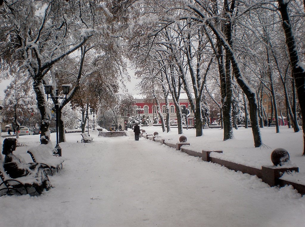 Зима - Роман Савоцкий