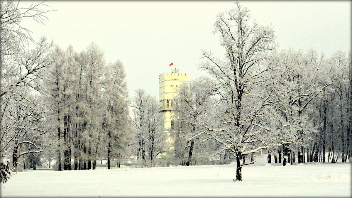 Зимой в Александровском парке  3 - Сергей 