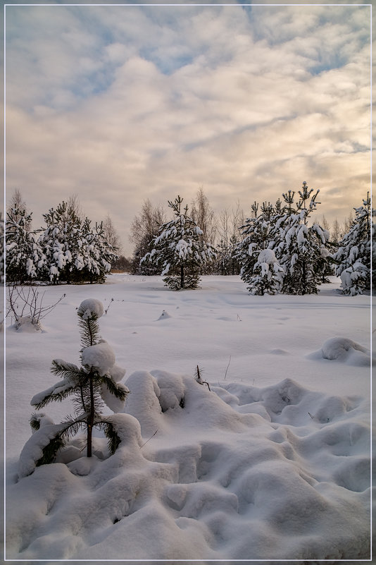 Зимний день 4 - Андрей Дворников