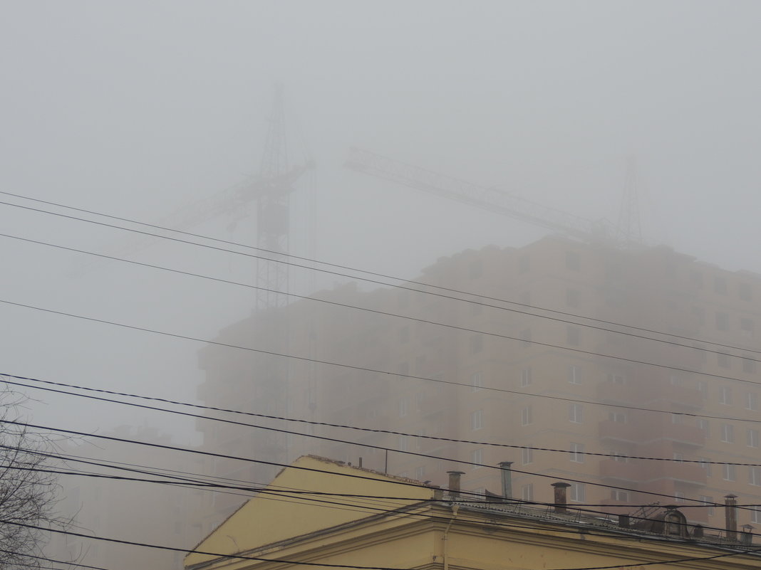 В тумане - Евгения Чередниченко