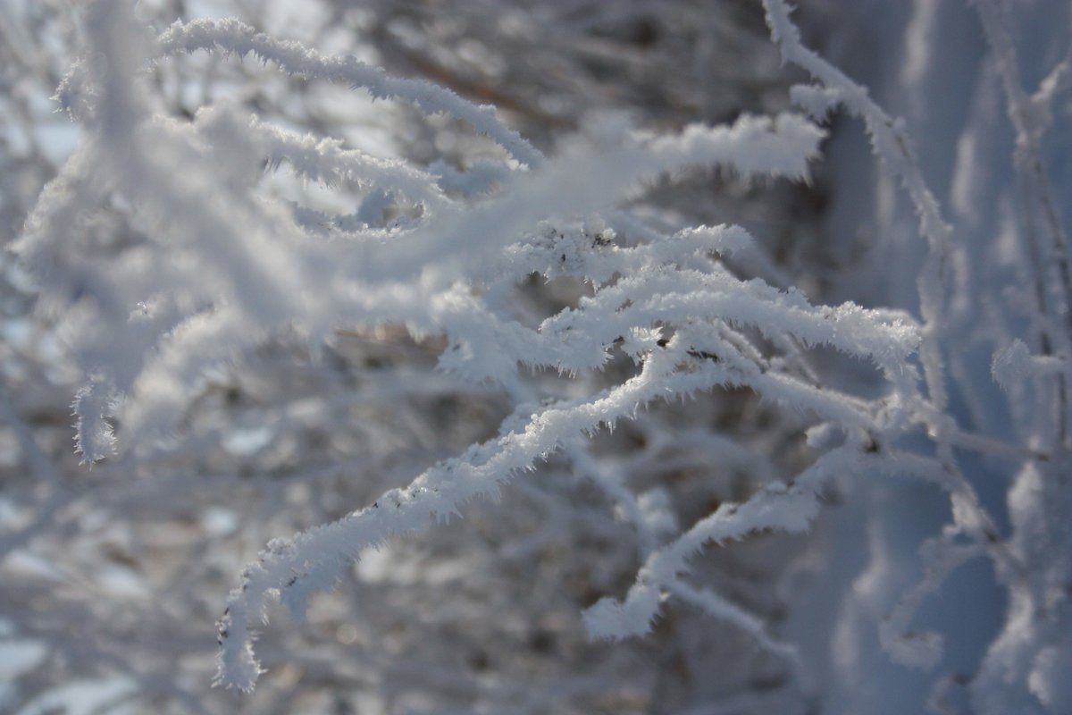 Зима в Таганроге - Екатерина 
