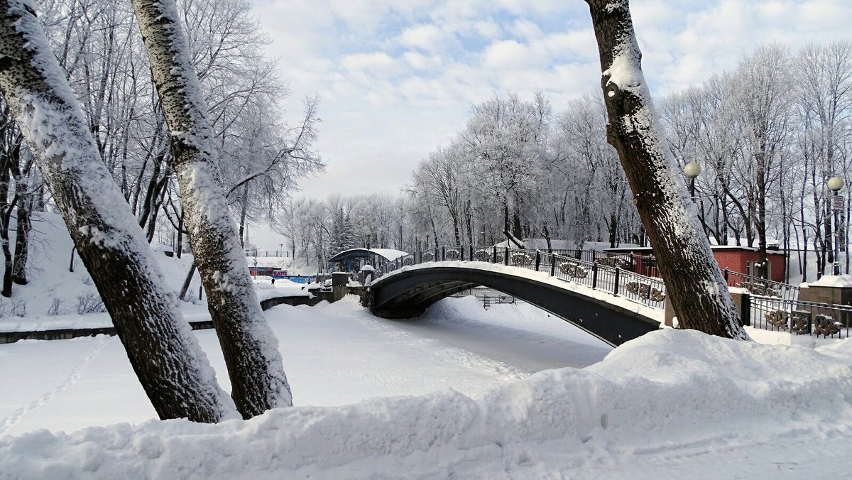 Зимний сад - Милешкин Владимир Алексеевич 