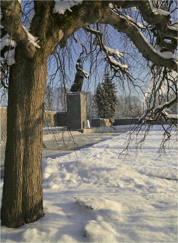 В объятиях ветвей - Юрий Велицкий