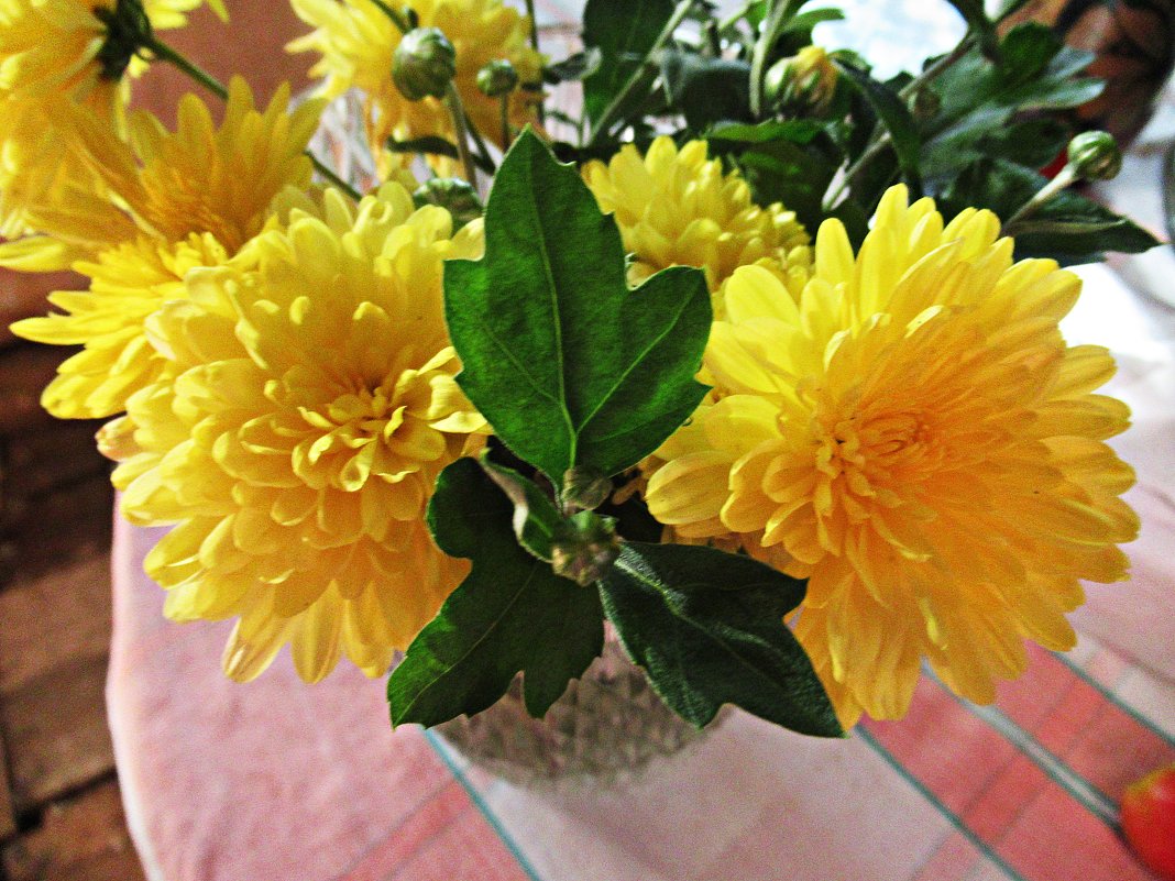 Жёлтые цветы - Лариса 