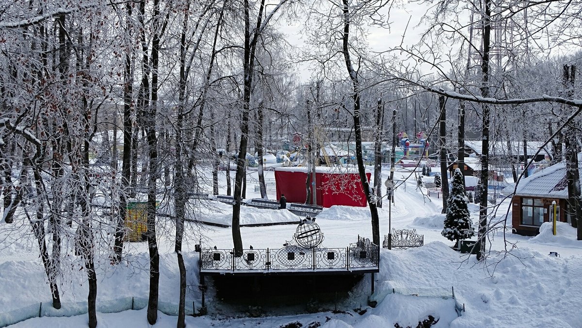 Зимний сад (репортаж из зимнего сада) - Милешкин Владимир Алексеевич 
