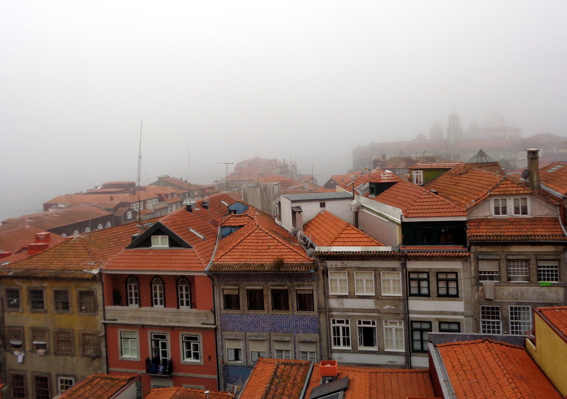 Туманное утро в Порто - Лара Амелина