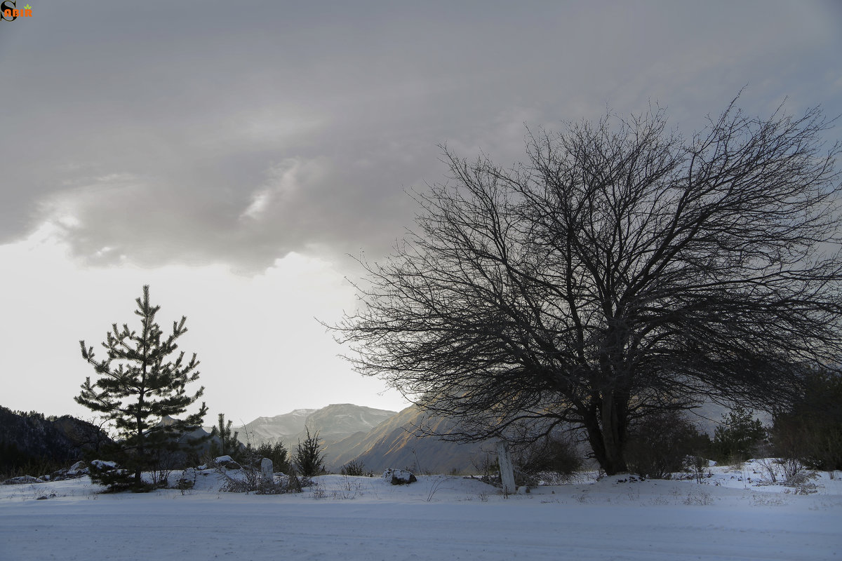 First snow! - Brais 