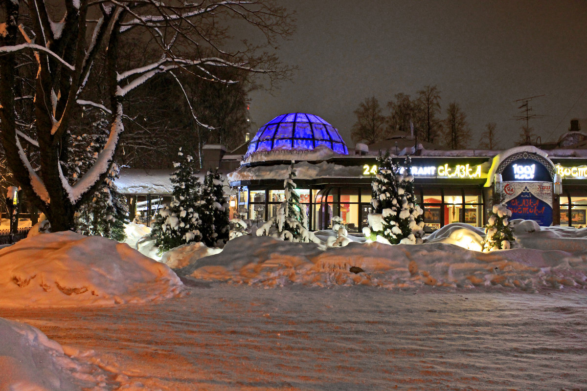 Ночная зимняя сказка в Петербурге - Евгений 