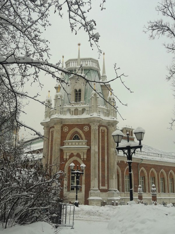 Дворец в Царицыно - Яна Михайловна