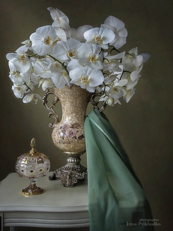 С букетом белых орхидей - Ирина Приходько