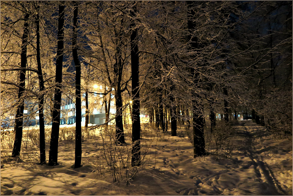 Зимний вечер - Leonid Rutov