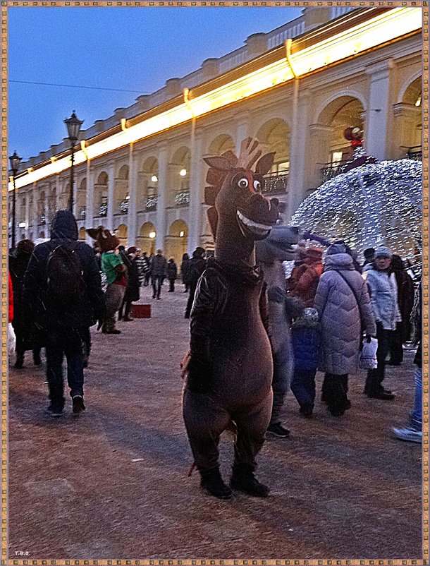 Звери на Невском - Вера 