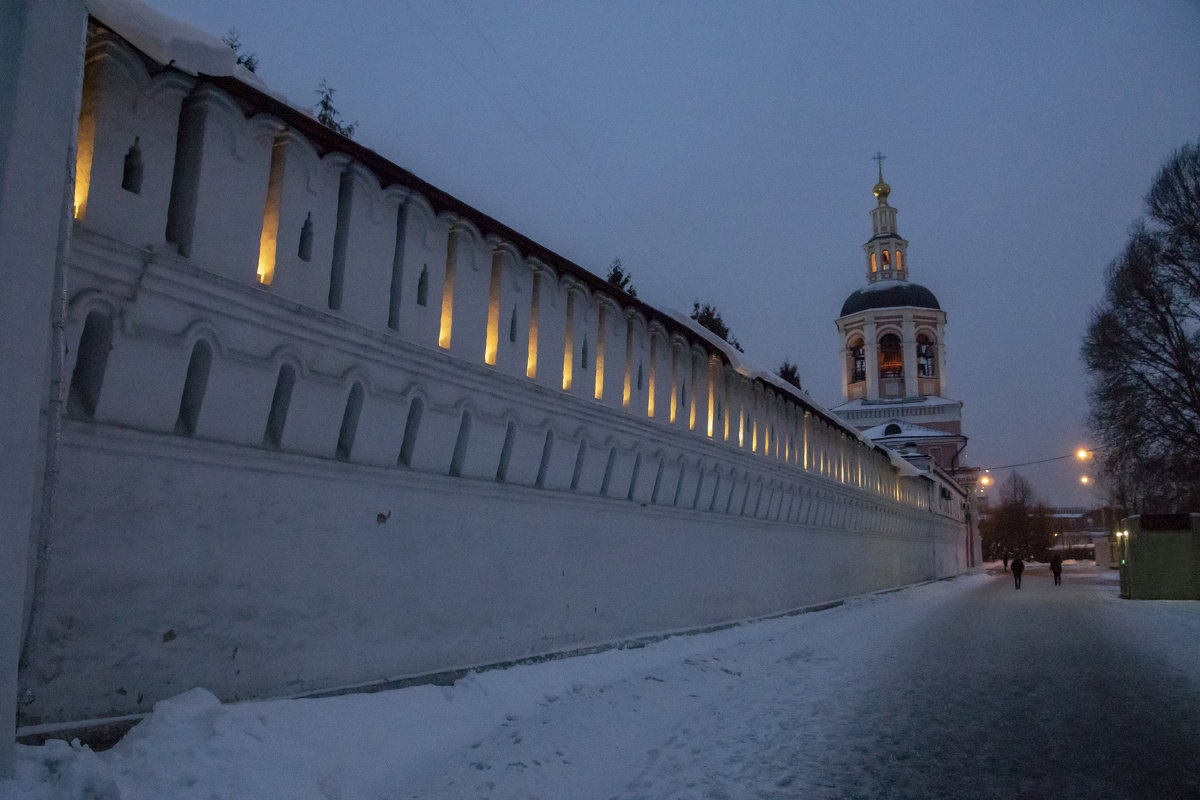 Стена Донскова монастыря - Яков Реймер