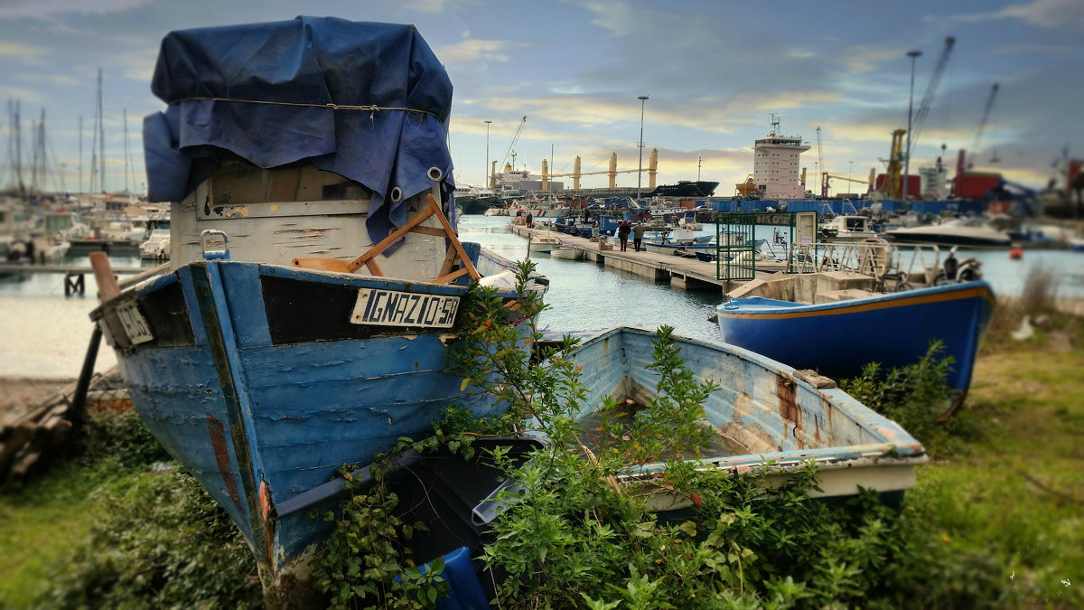 Front of the port - Stefano Massa