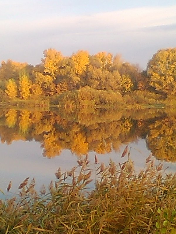 Урал - Толкачев Александр 