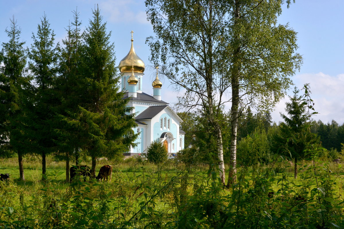 Никандрова пустынь - Леонид Иванчук