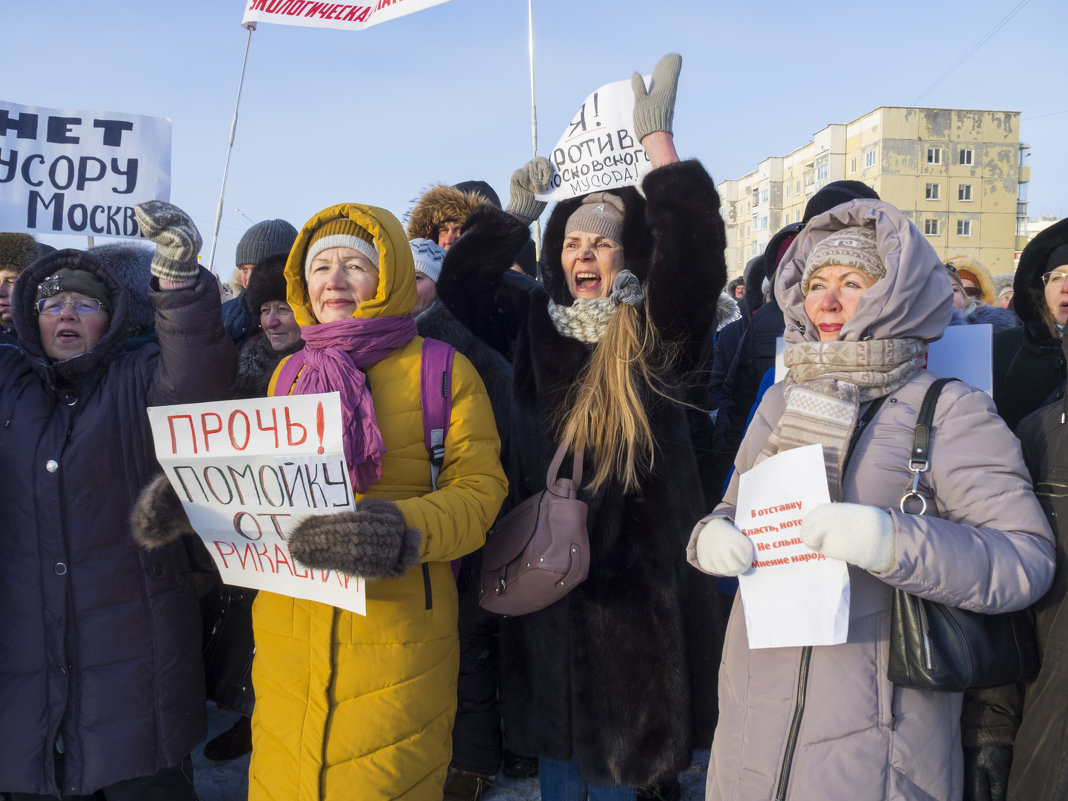 Северодвинск. Экологический митинг - Владимир Шибинский