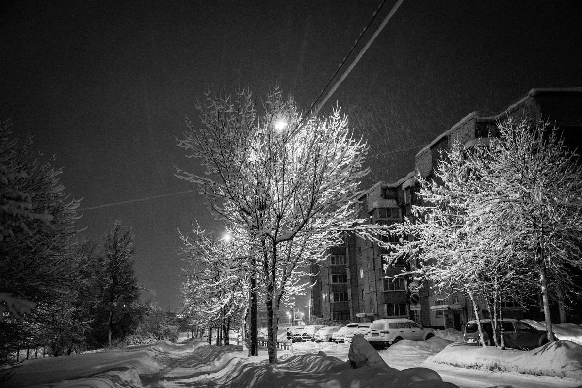 Улица, фонарь, деревья. - Александр Горячев