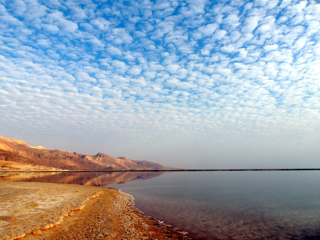 Утро.Февраль. Мертвое море - Гала 