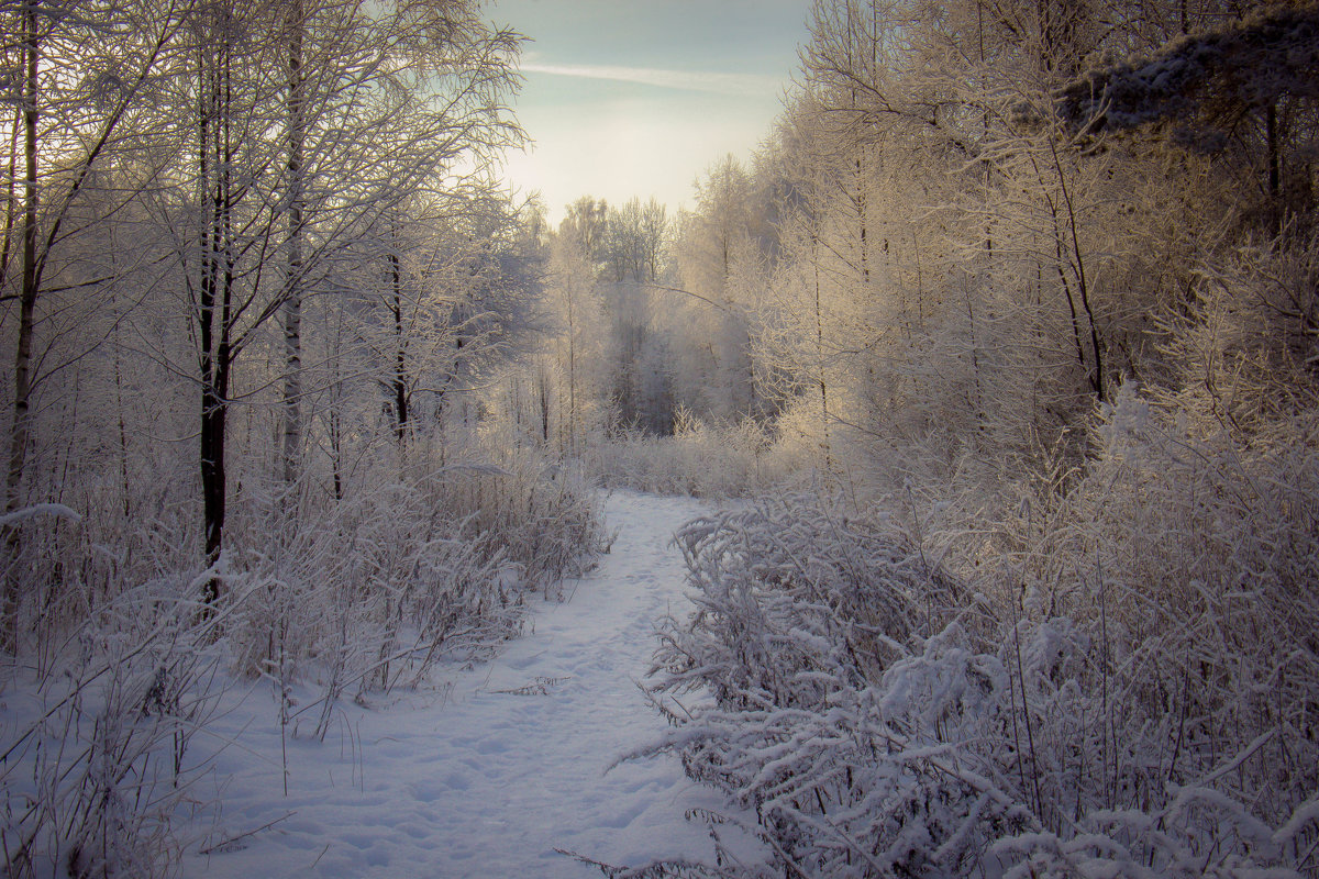 Зима - Андрей Костров