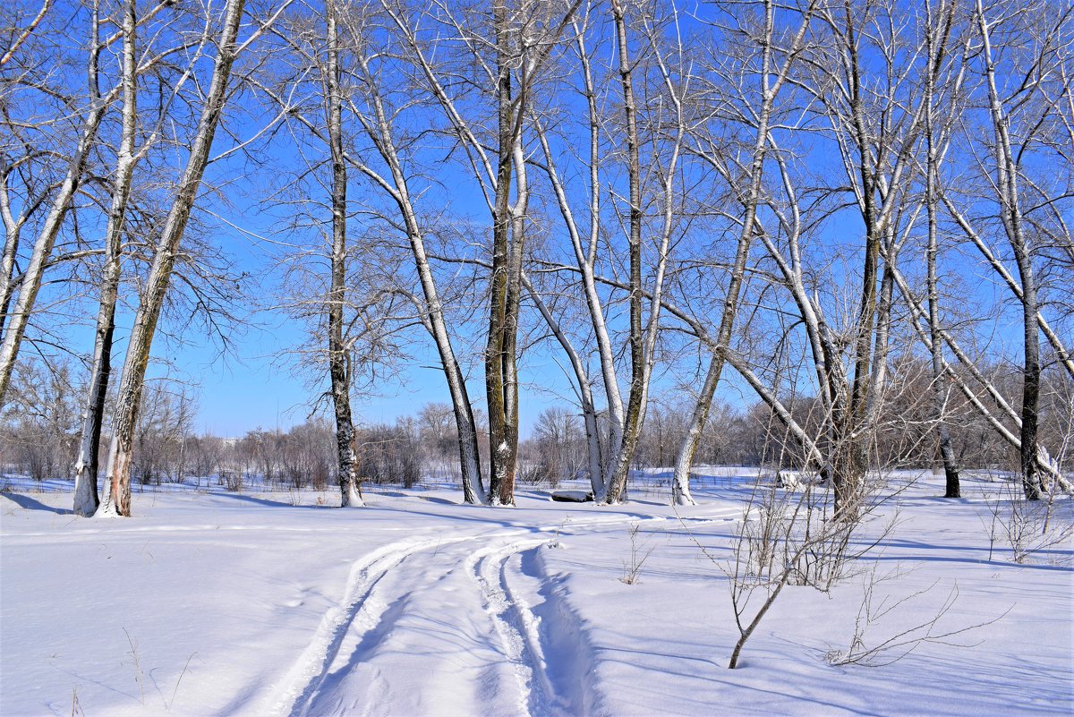 зимняя дорога - татьяна 
