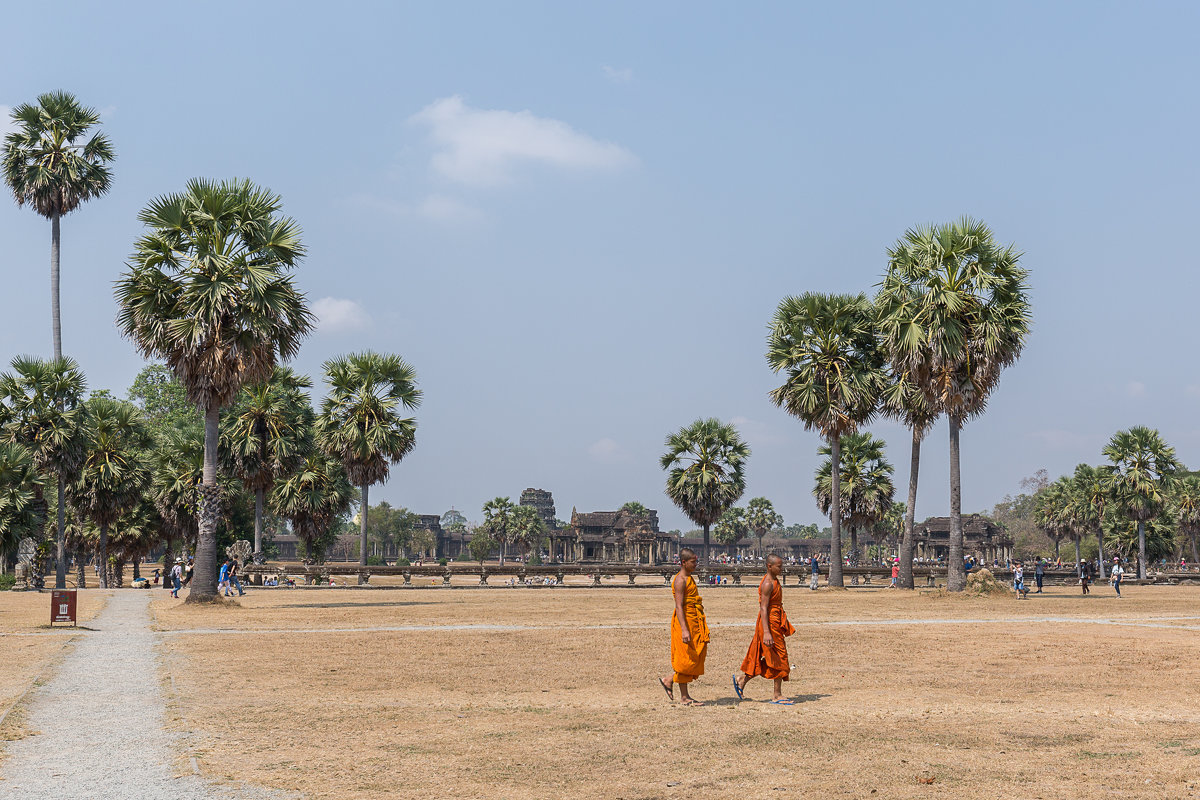 Ангкор-Ват. Камбоджа - Дмитрий 