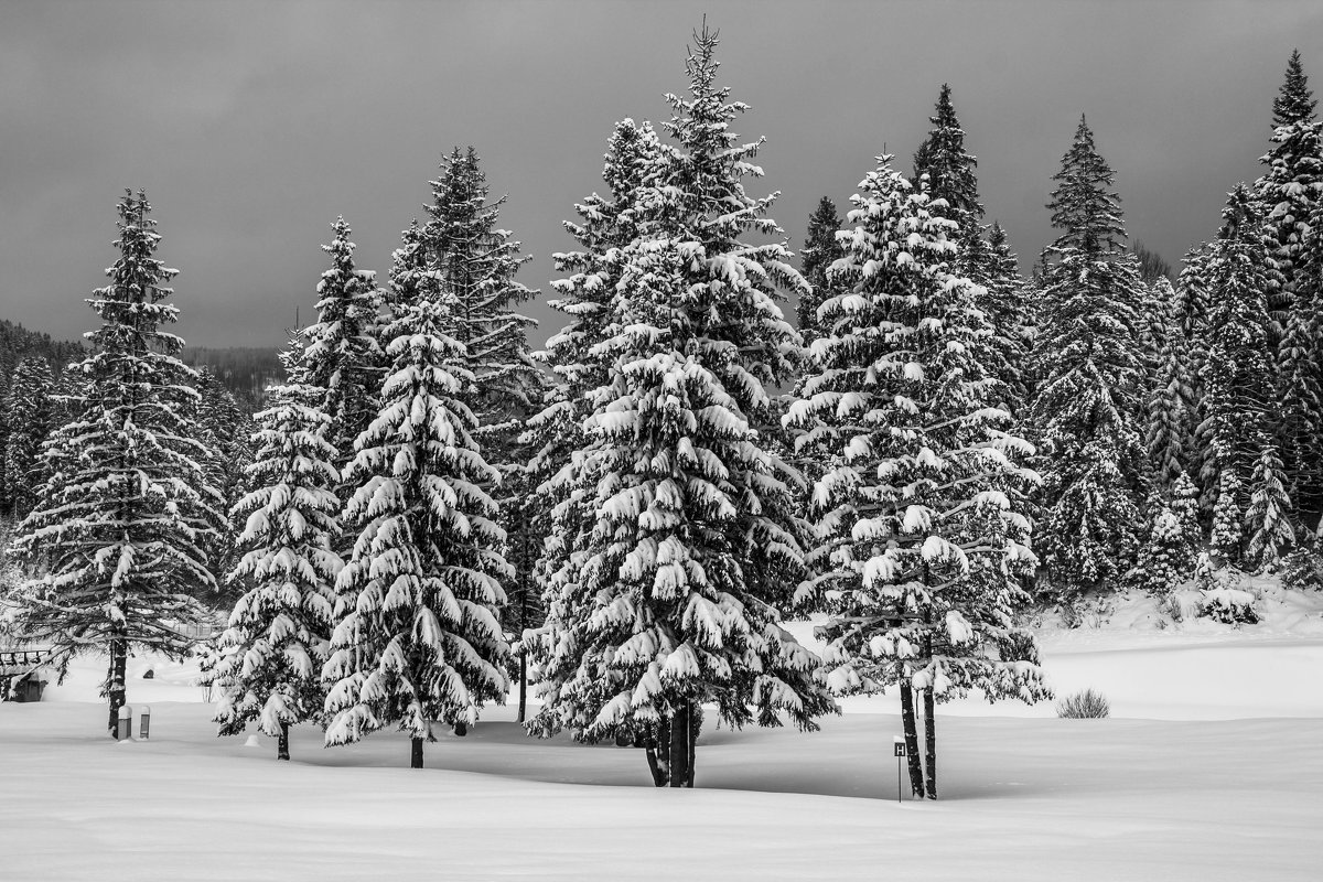 Зима в Татрах - Сергей Дабаев