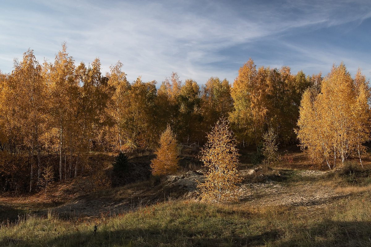 Осенний лес - Igor Konstantinov 