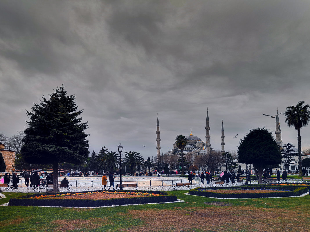 Вид на Голубую мечеть (Sultanahmet Camii) - Виктор Скайбери