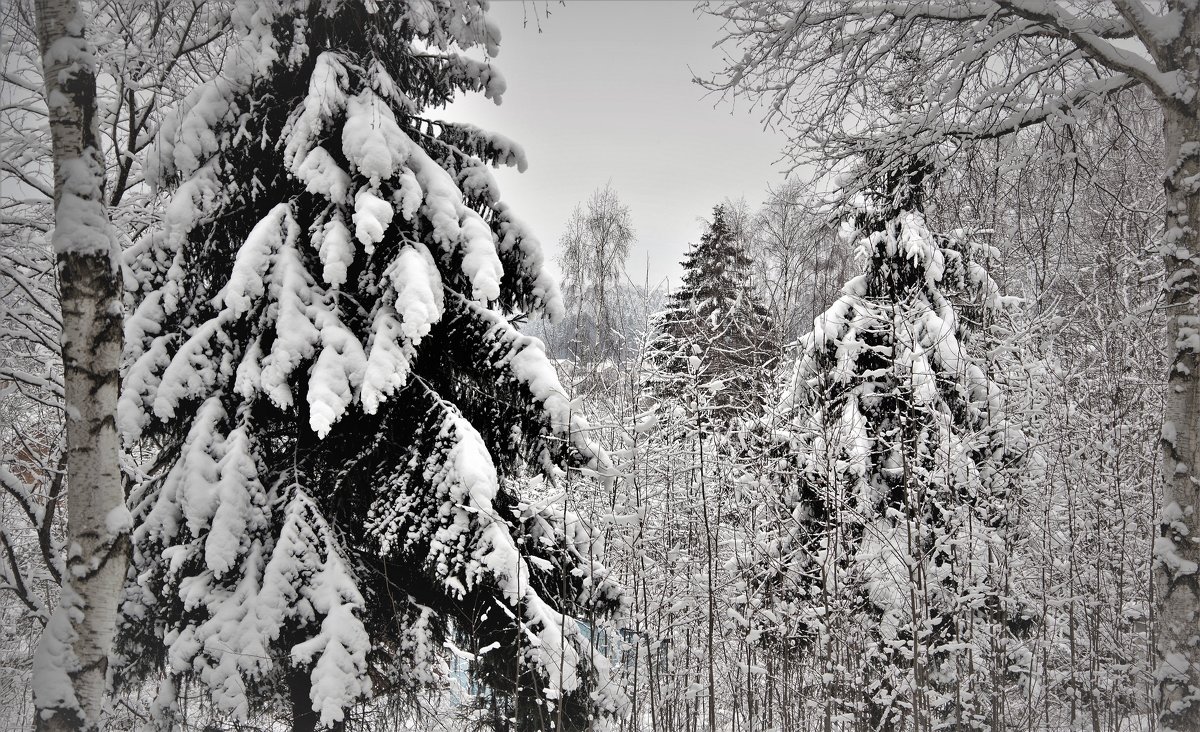 Зима в Молочном - Валерий Талашов