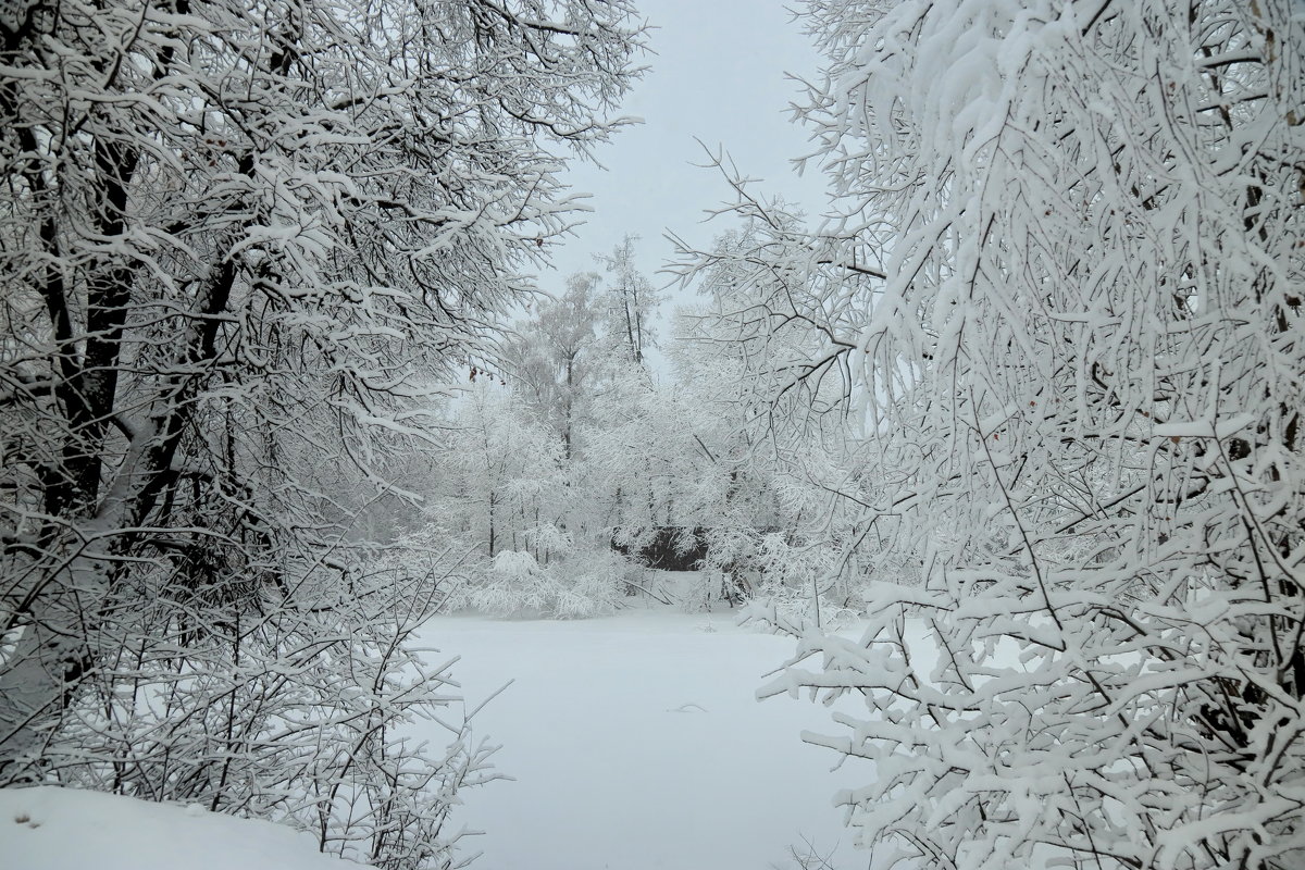 Февральский снег - Светлана 