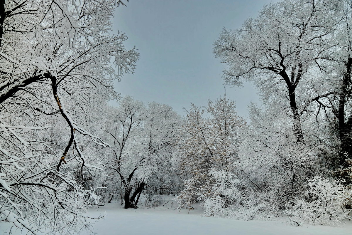 Зимний пейзаж - Светлана 