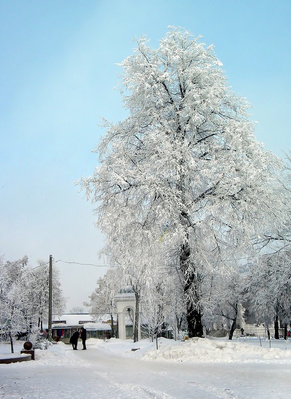 Зима - Роман Савоцкий