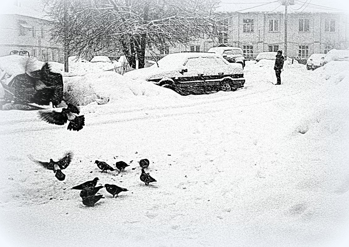 метель и голуби - Любовь 