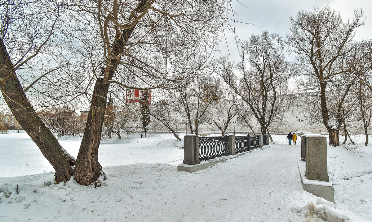 Прогулки в Зимнем Парке - юрий поляков