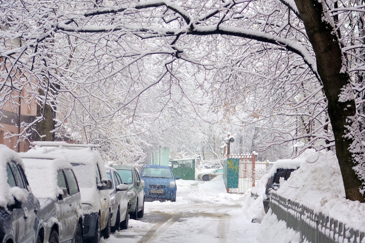 Краса - зима в городе - Ольга (crim41evp)